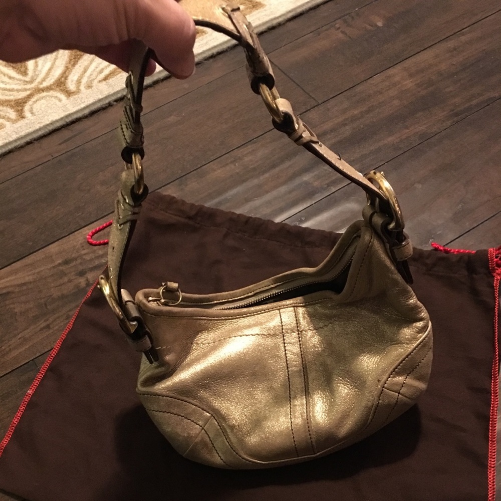 Gold Coach - Picture 4 of 4